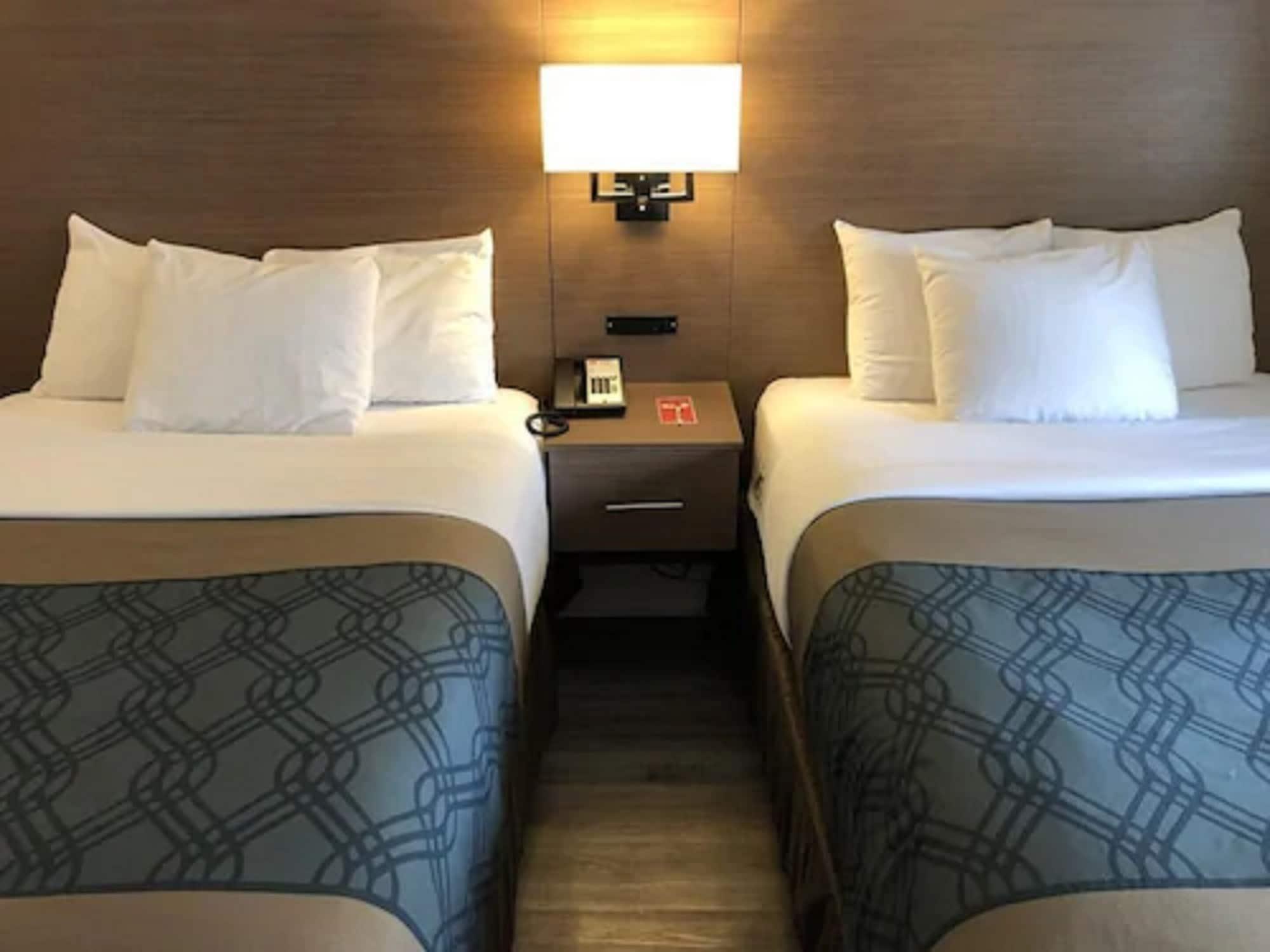 Econo & Downtown Hotel 2*